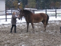 Fiona i ja 2
