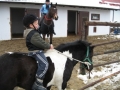 Kubuś1